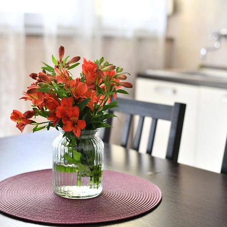 Cozy 16A Apartment Zadar Ngoại thất bức ảnh