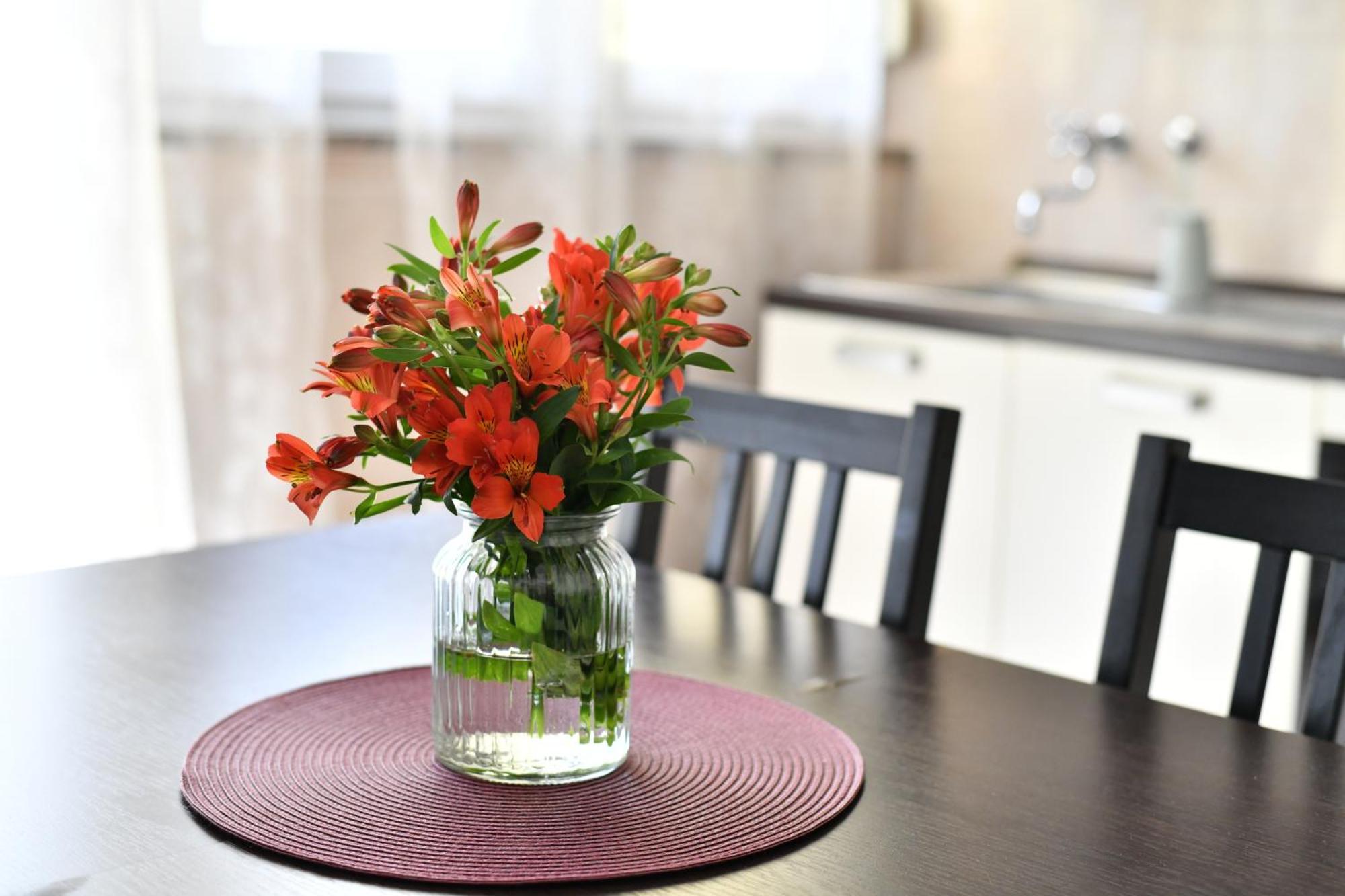 Cozy 16A Apartment Zadar Ngoại thất bức ảnh